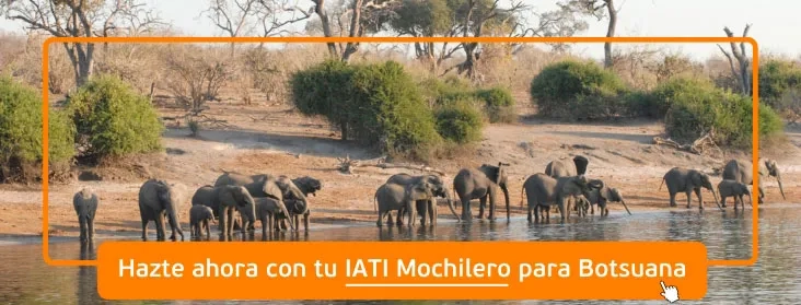 contratar póliza para Botsuana