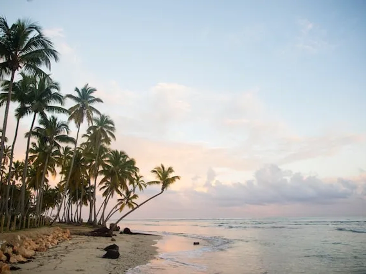 palm trees on a beach in the dominican republic