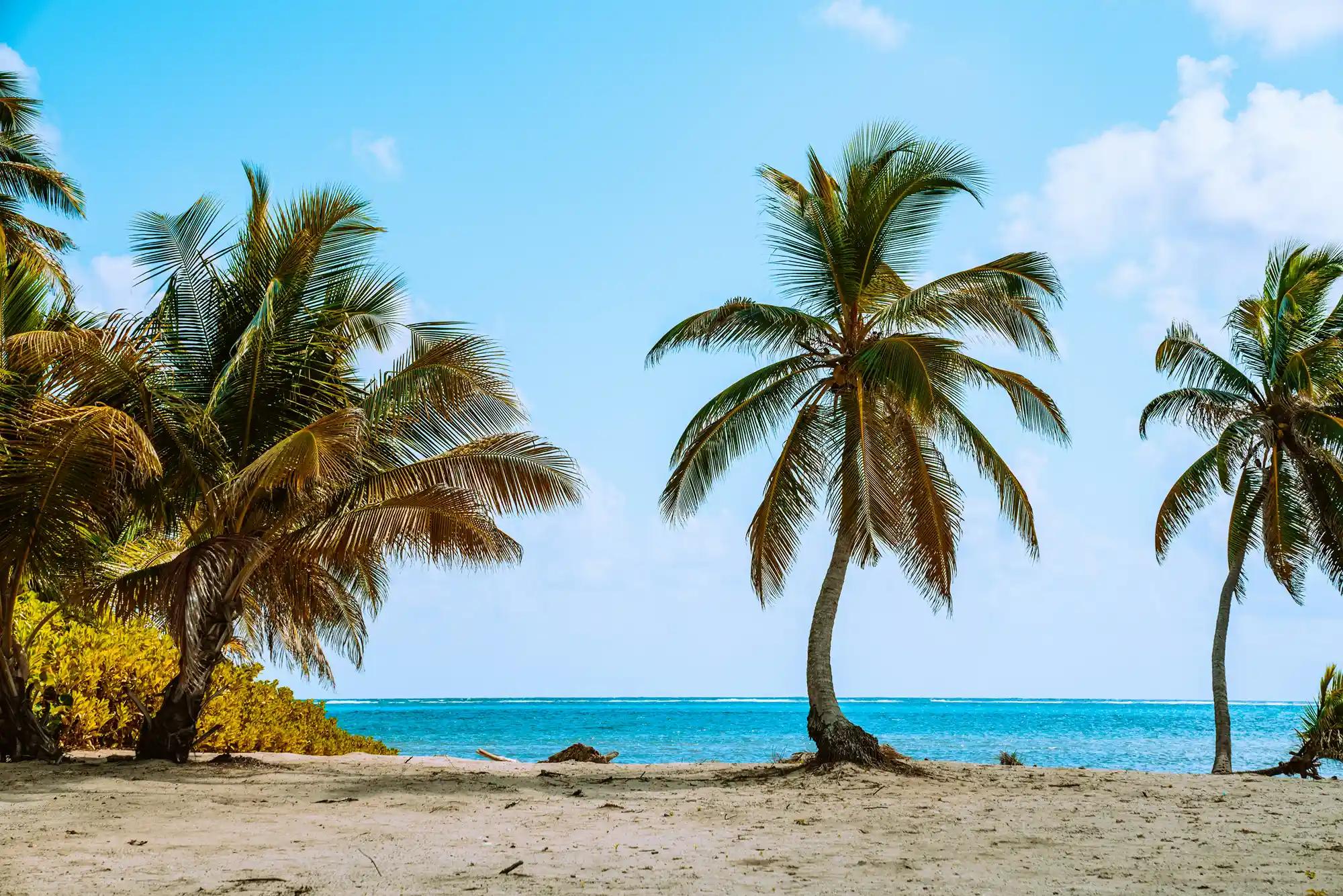 playa de belice