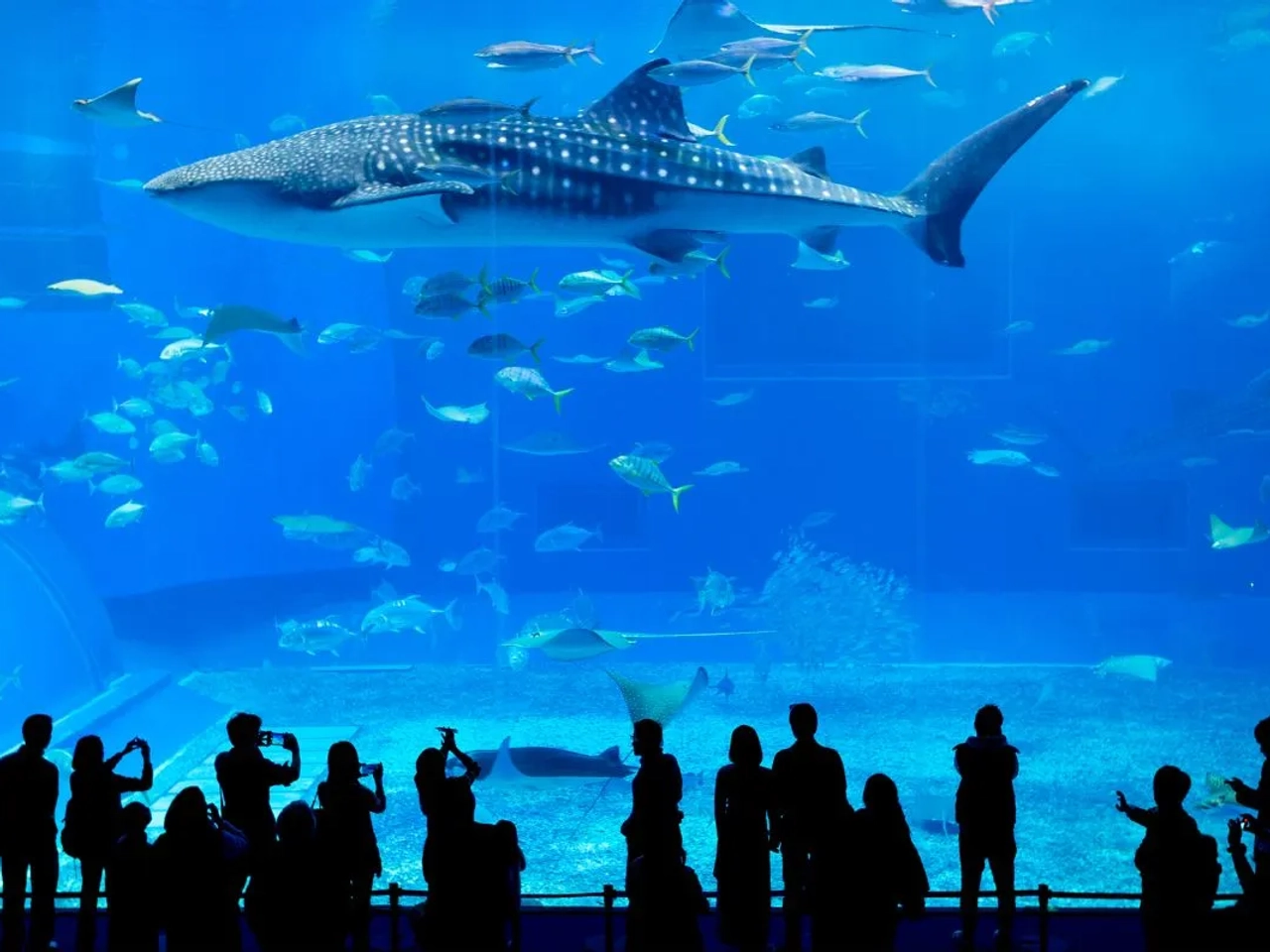 lugares turísticos de Okinawa