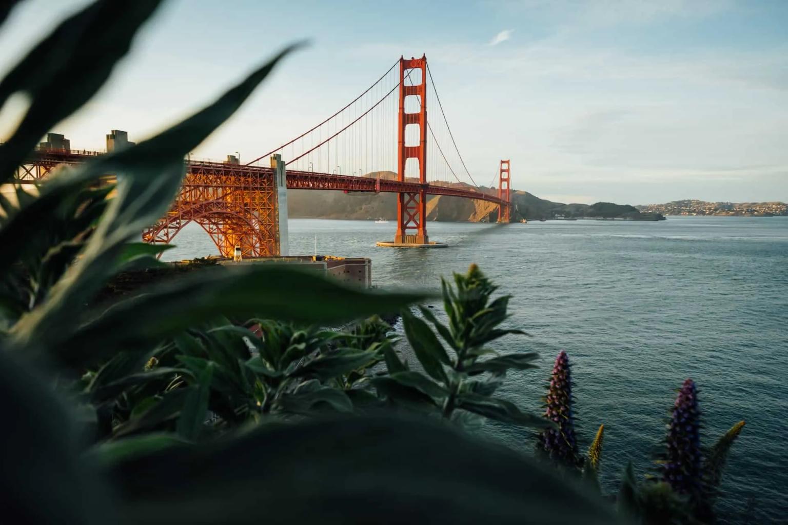 Golden Gate Bridge spanning a bay, framed by green foliage and distant hills.