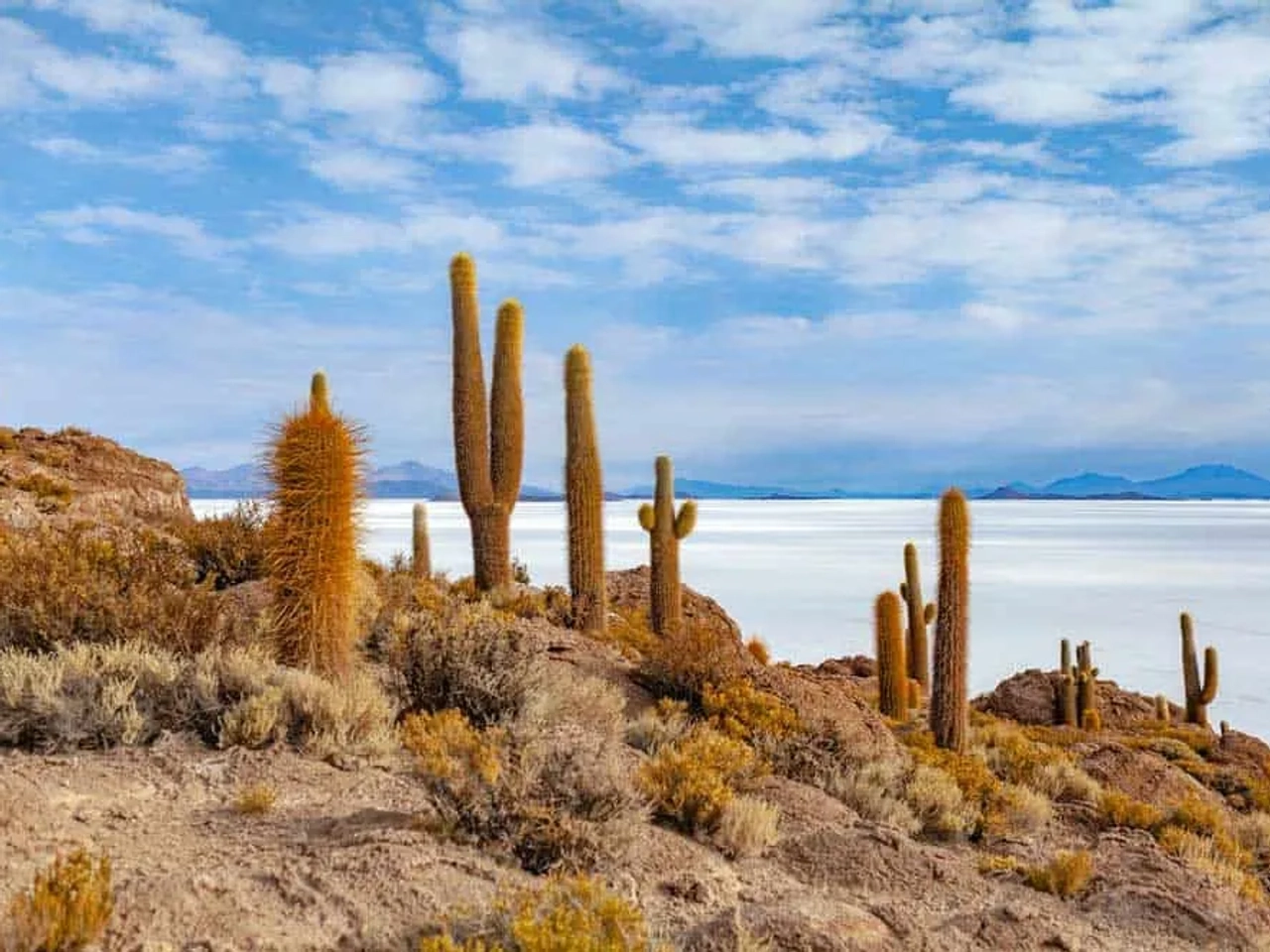 desierto de Bolivia