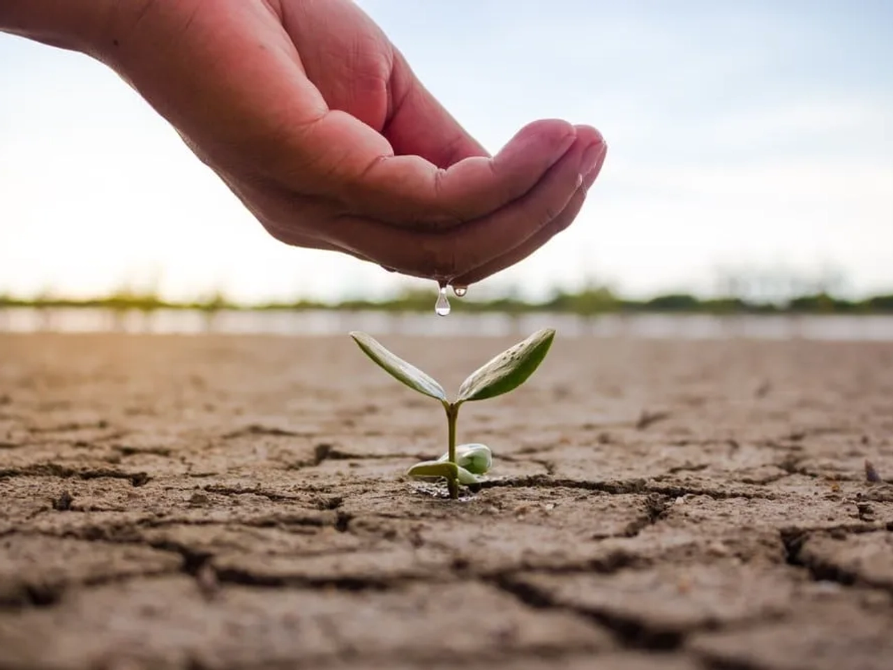 consejos para el agua