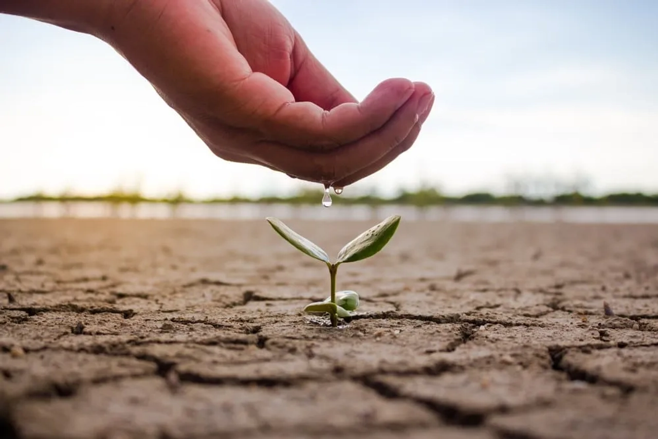 consejos para el agua