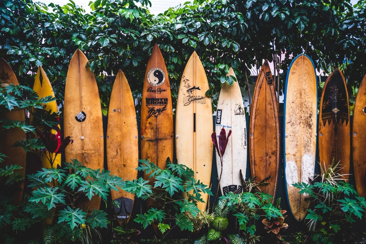 A colorful array of surfboards leaning against a lush green backdrop.