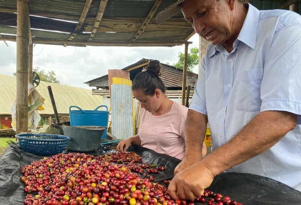 visitar una hacienda cafetera en el Eje Cafetero