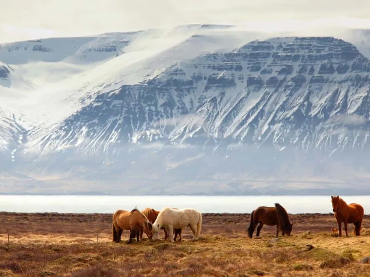 seguro para viajar a Islandia