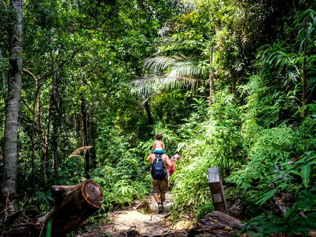 familia passeia no parque nacional de penang