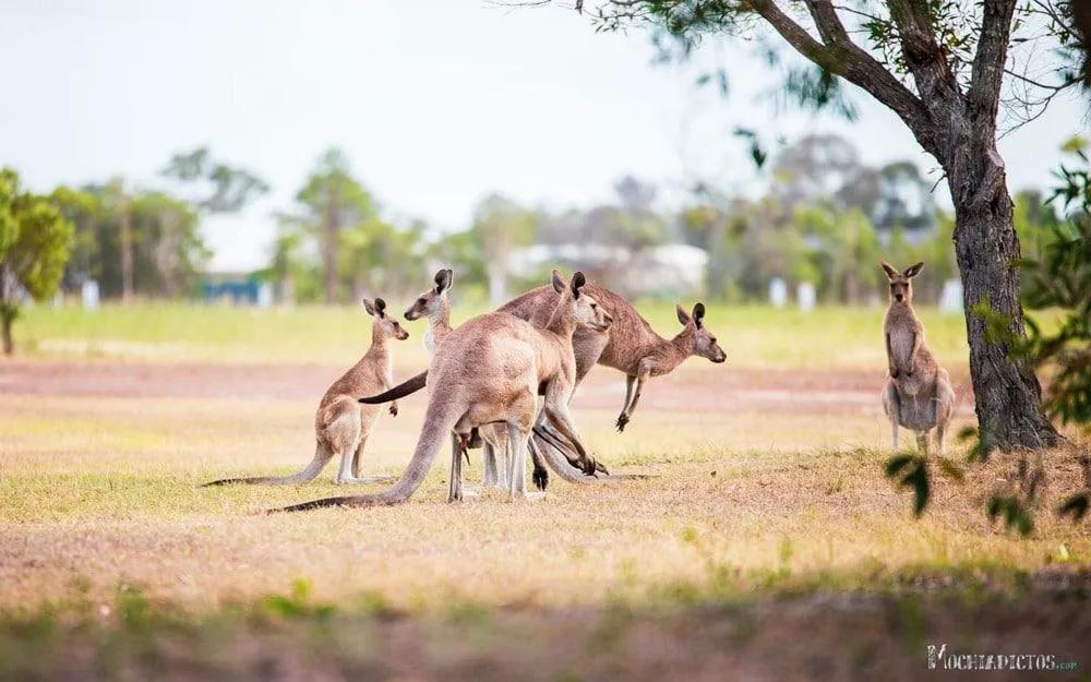 ser un turista responsable dando ejemplo