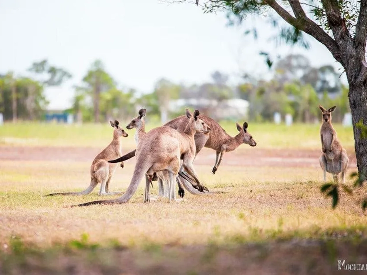 ser un turista responsable dando ejemplo