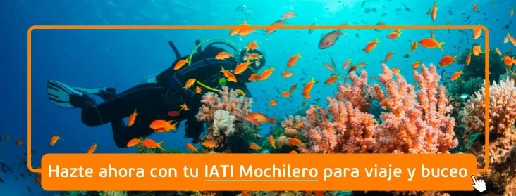 contratar seguro de buceo y viaje