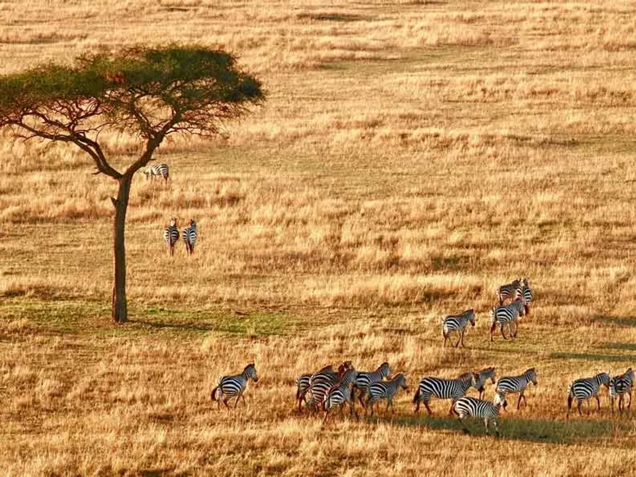 documentos para viaje a Tanzania