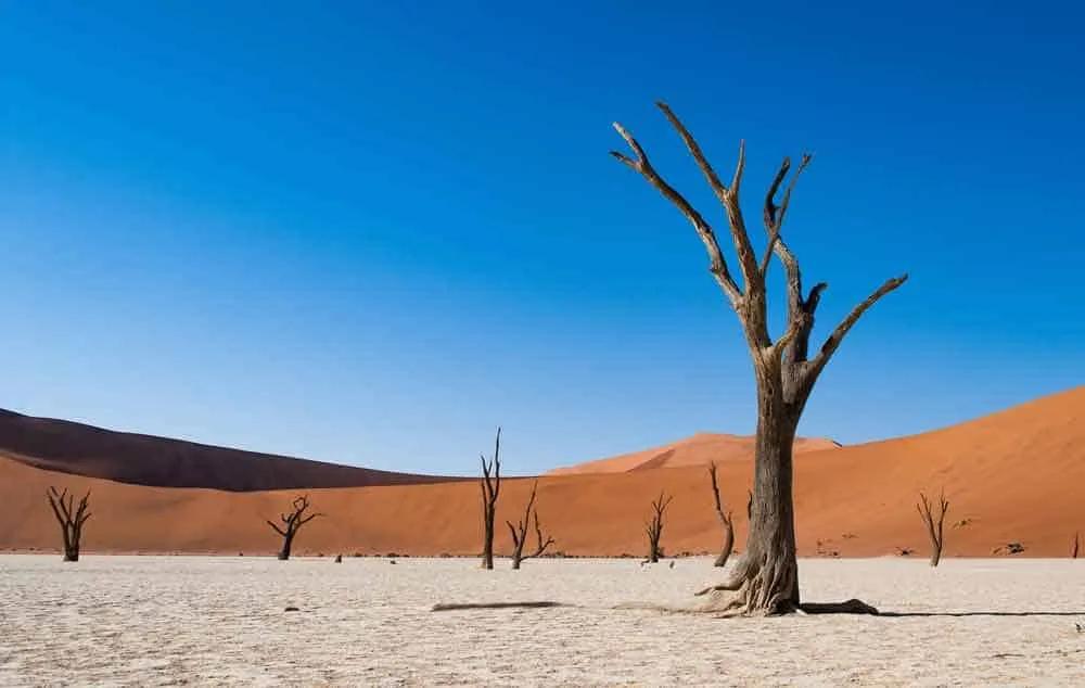 Es seguro viajar a Namibia