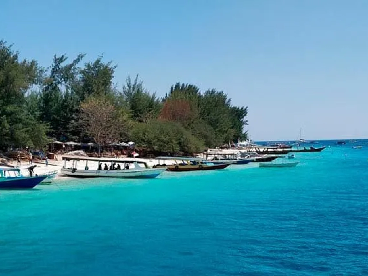 snorkel en Turtle Point