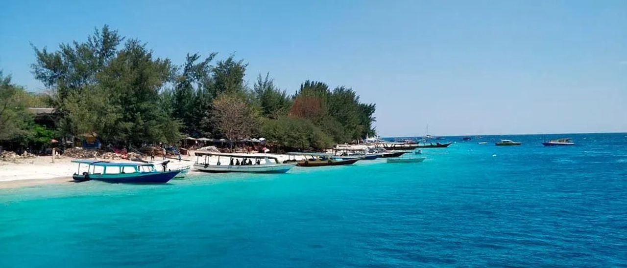 snorkel en Turtle Point
