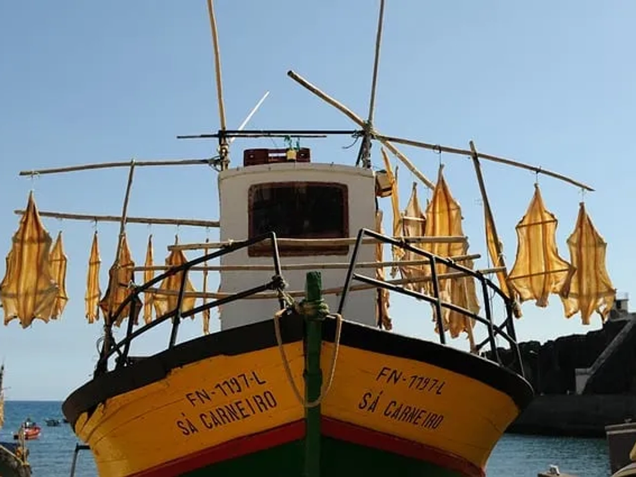 barco de pesca com bacalhaus na ilha da madeira
