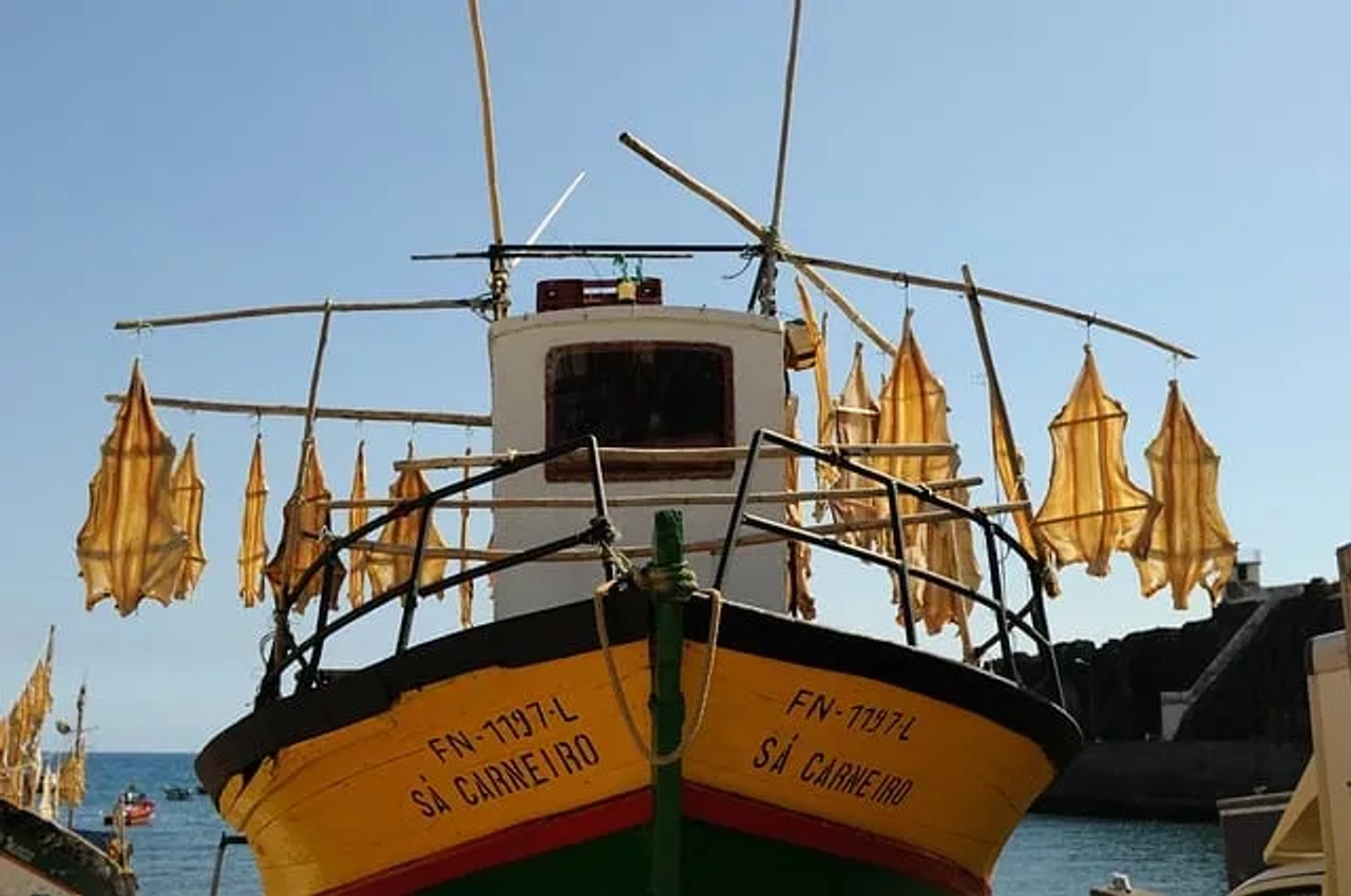 barco de pesca com bacalhaus na ilha da madeira