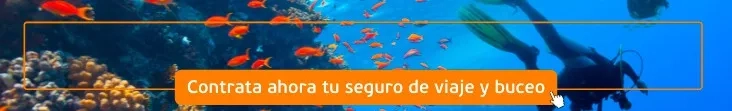 Seguro de buceo y viaje