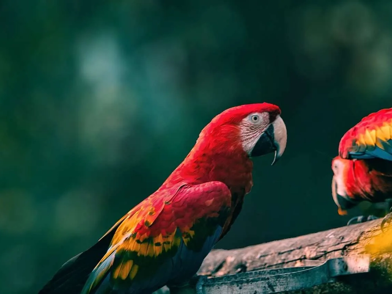 Parques nacionales de Costa Rica