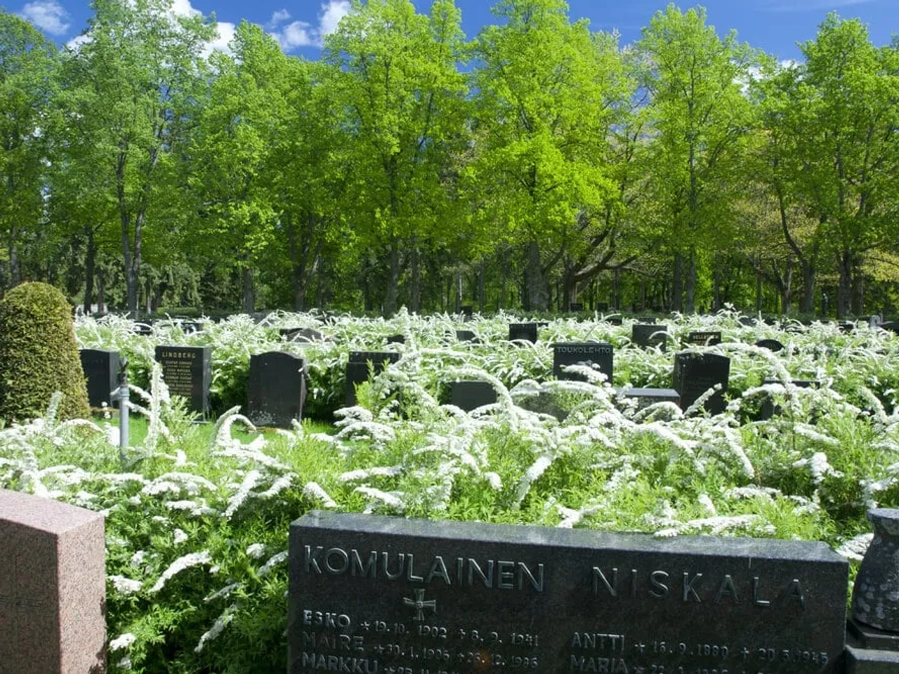 tumbas e vegetação no cemiterio de hietaniemi