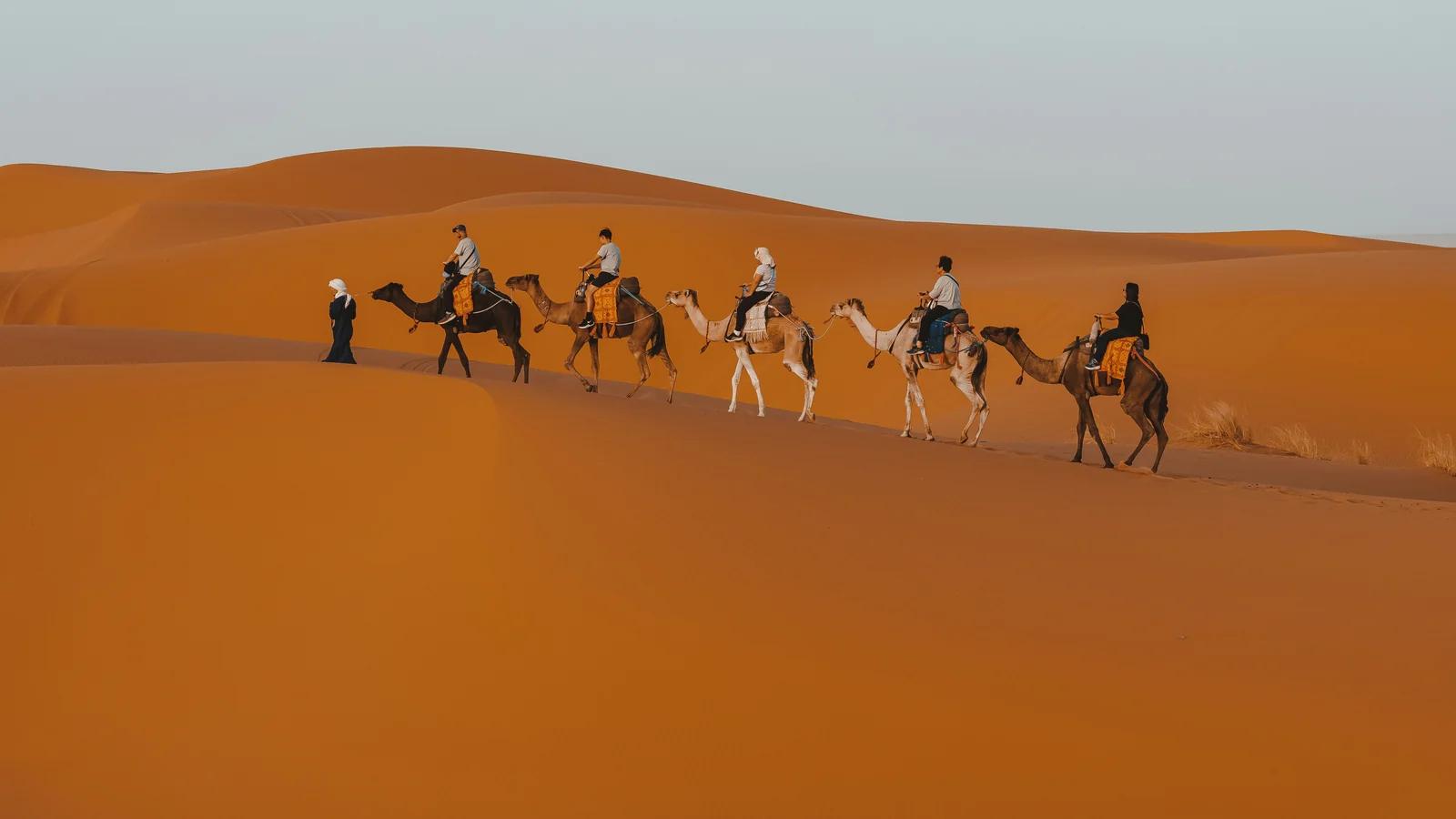 Carovana di cammelli tra le dune del Sahara vicino a Merzouga, in Marocco.