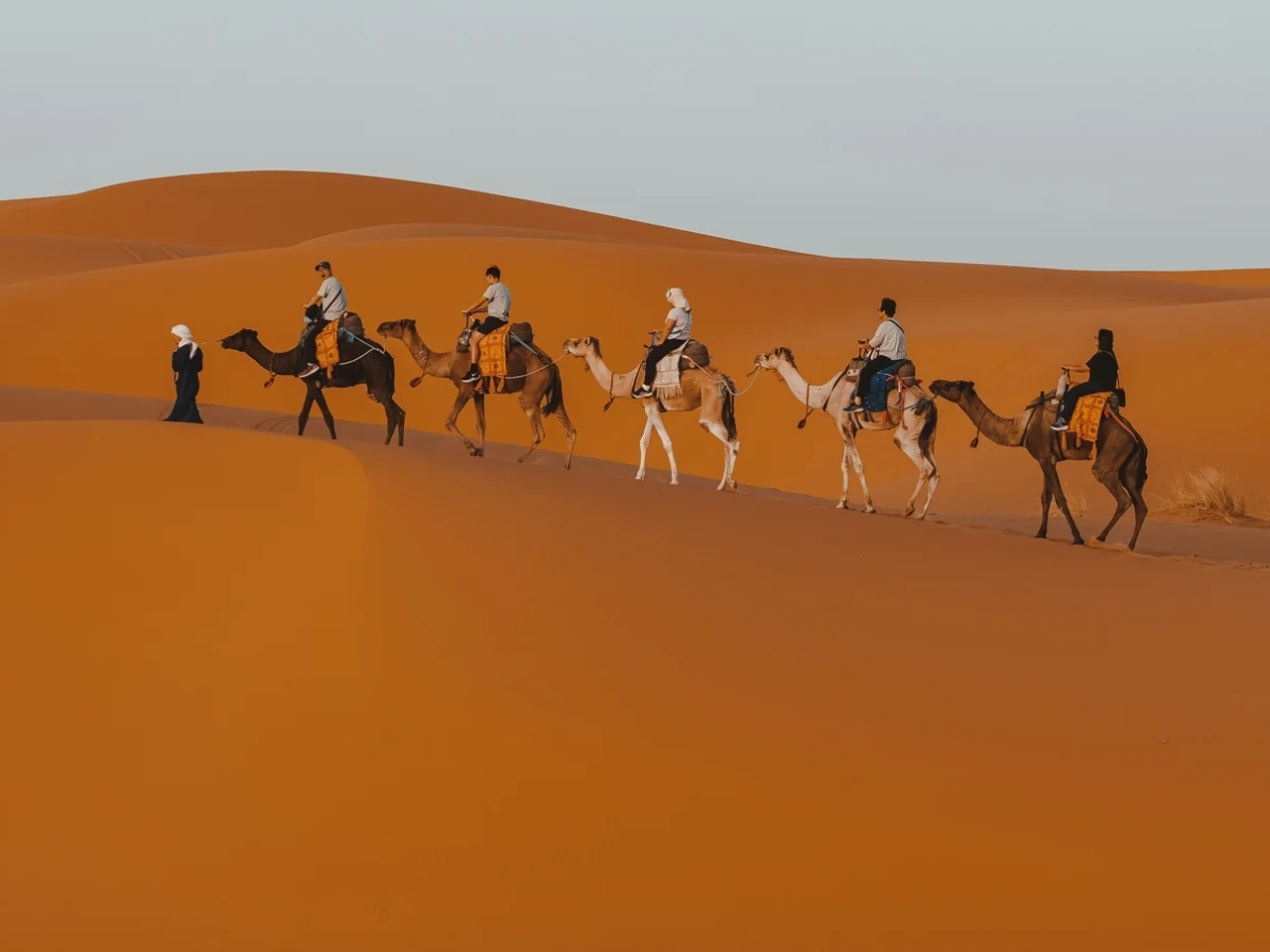 Carovana di cammelli tra le dune del Sahara vicino a Merzouga, in Marocco.