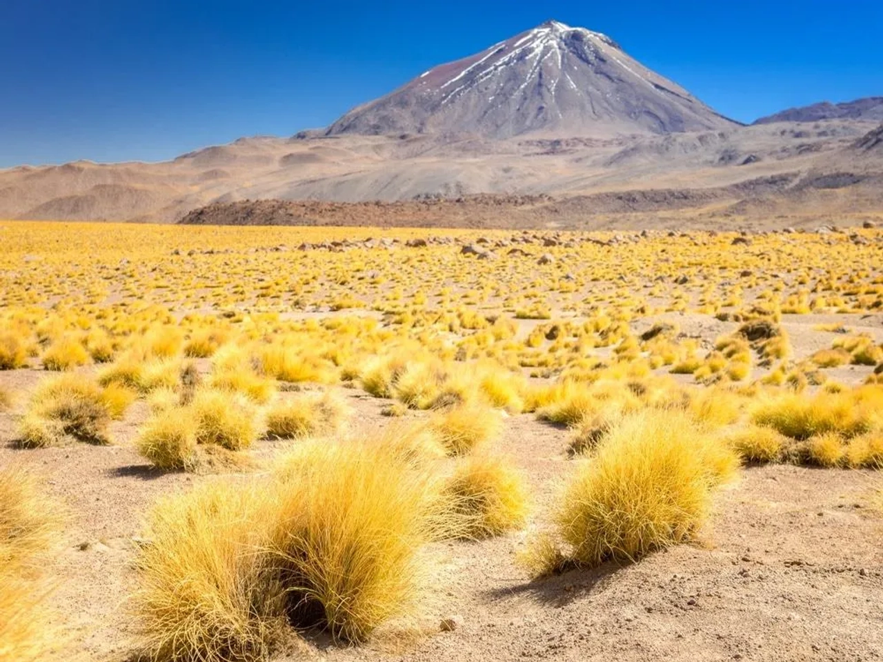visitar Atacama