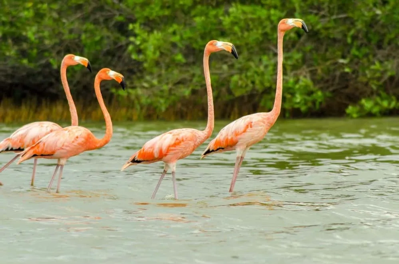 visitar la Guajira en Colombia