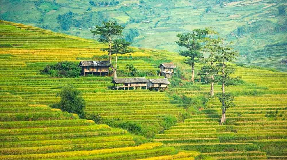 viajar a Indonesia con cobertura médica internacional