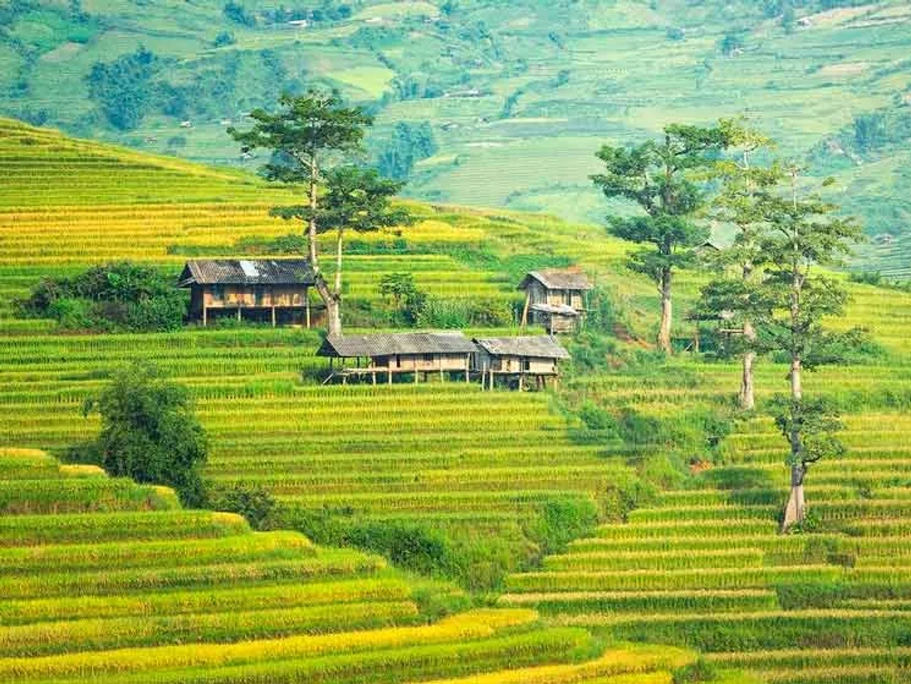 viajar a Indonesia con cobertura médica internacional