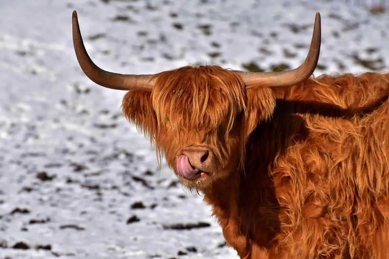 Documentos para viajar a Reino Unido