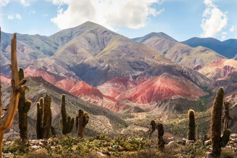 Este es el mejor seguro de viaje a Argentina