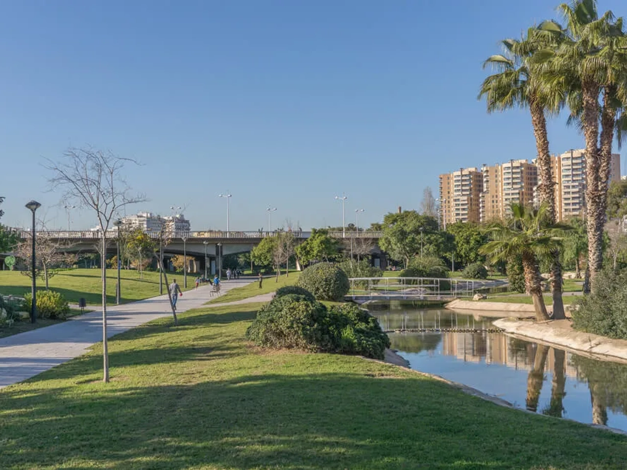 fonte e palmeiras do jardim do turia em valencia