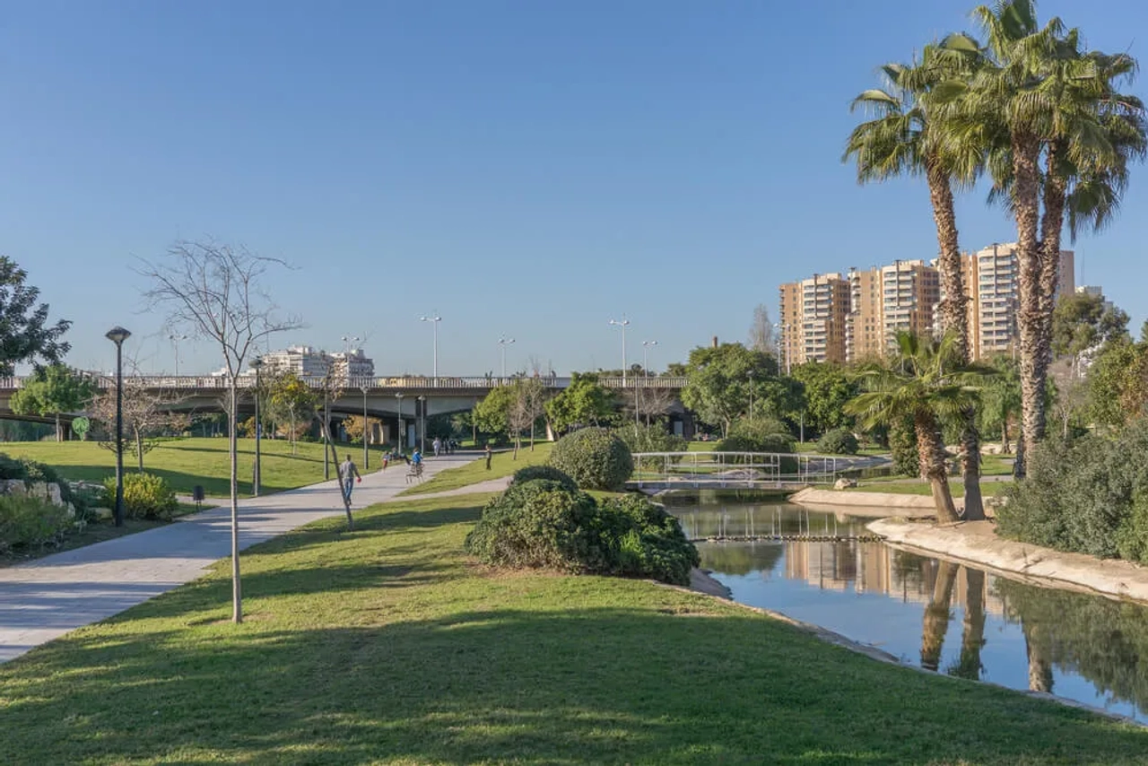 fonte e palmeiras do jardim do turia em valencia