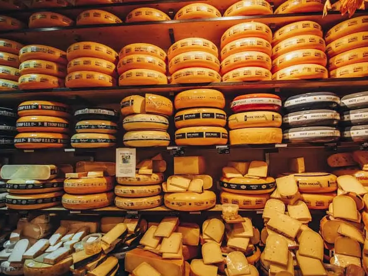 formaggi olandesi