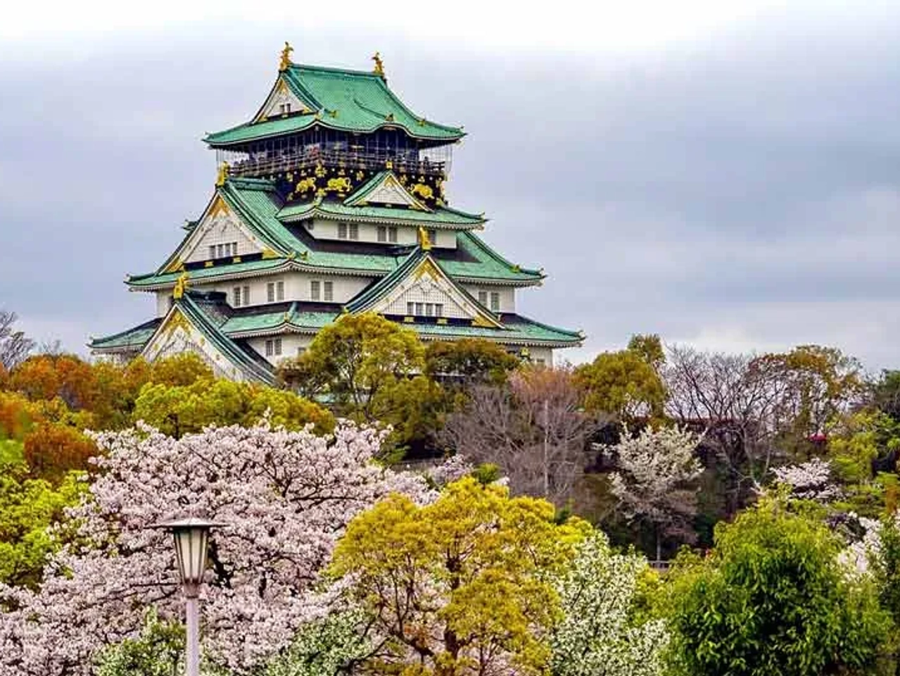 época cerezos en Japón