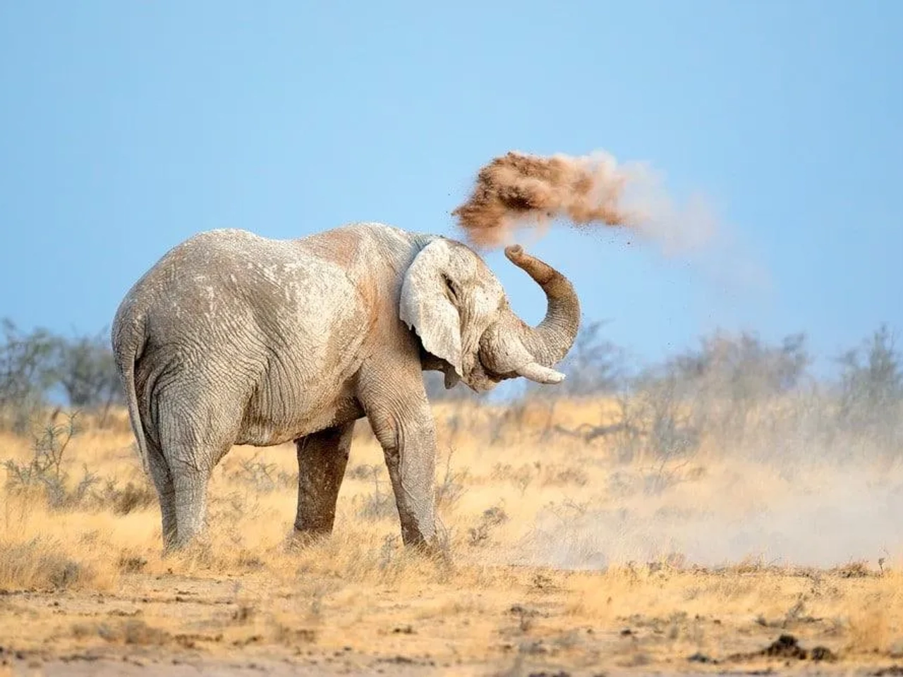 turismo con animales