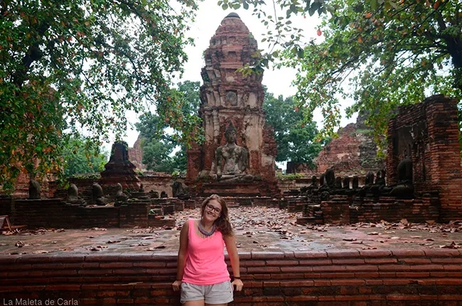 lamaletadecarla iati seguros