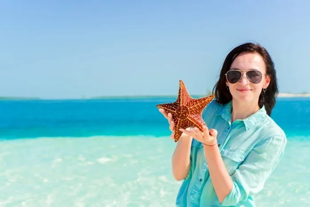 tocar estrellas de mar