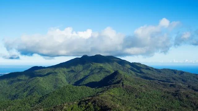 vista de uma floresta El Yunque Rainforest, Porto Rico