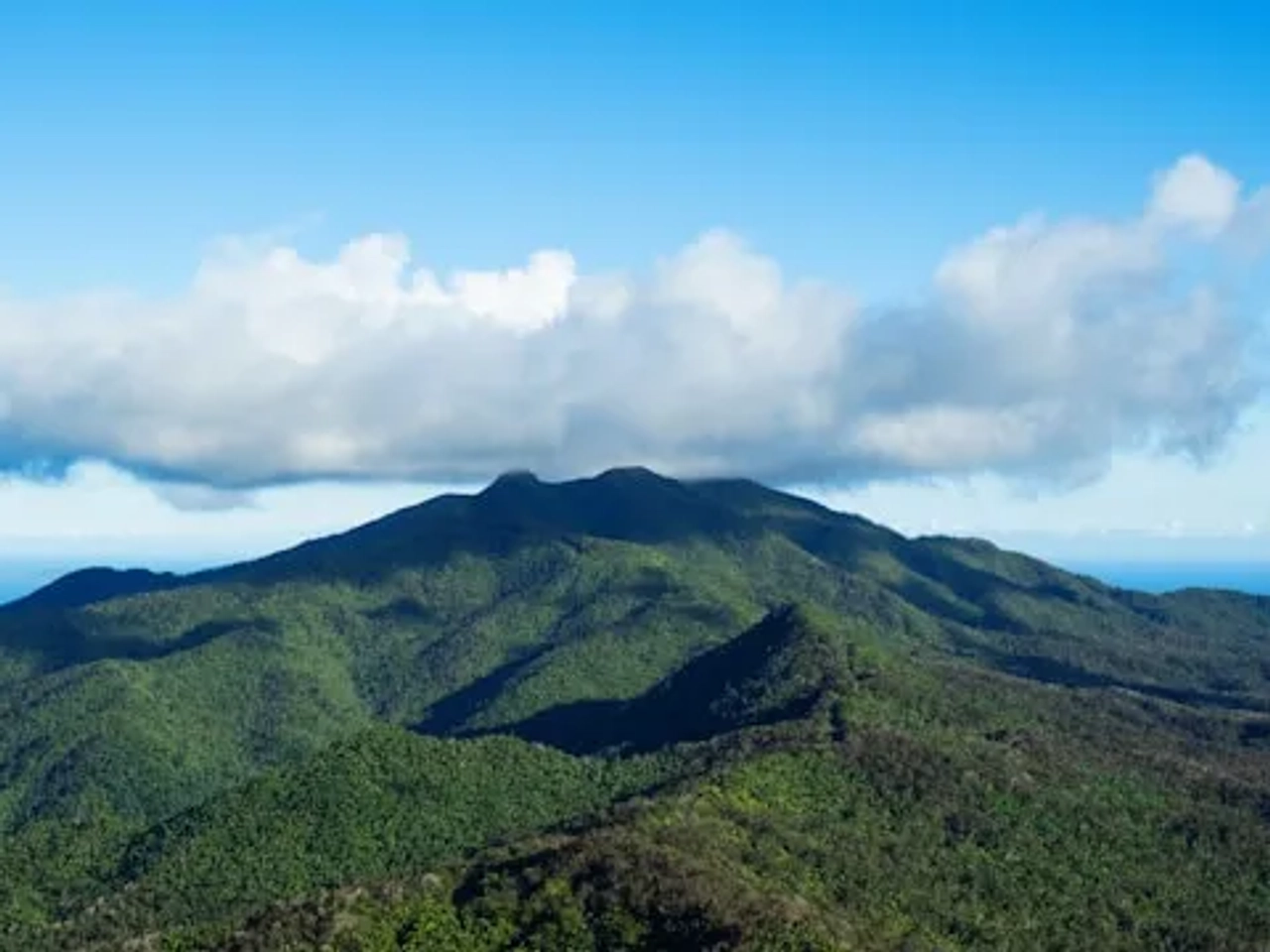 vista de uma floresta El Yunque Rainforest, Porto Rico