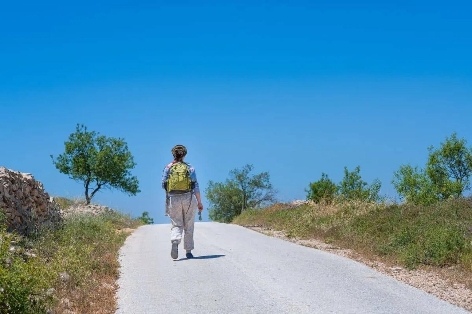 camino a Santiago
