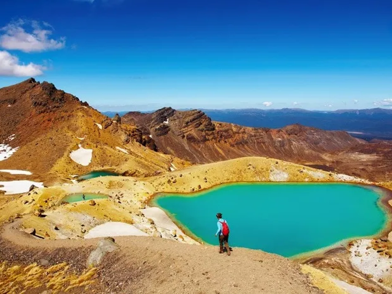 Seguro de viaje Working Holiday Visa Nueva Zelanda