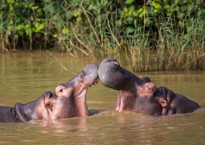 Itinerario de viaje a Sudáfrica