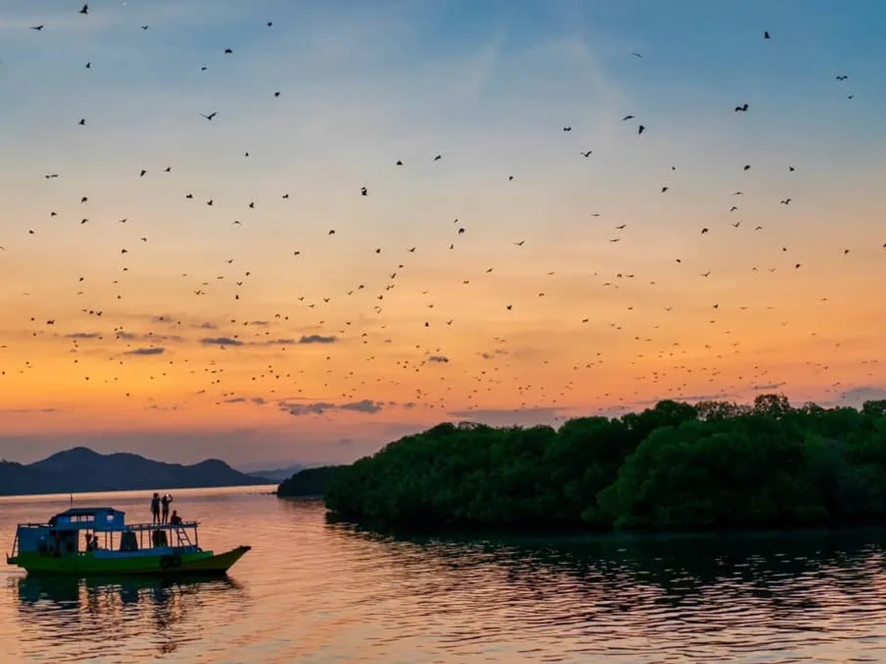millón de murciélagos en Komodo