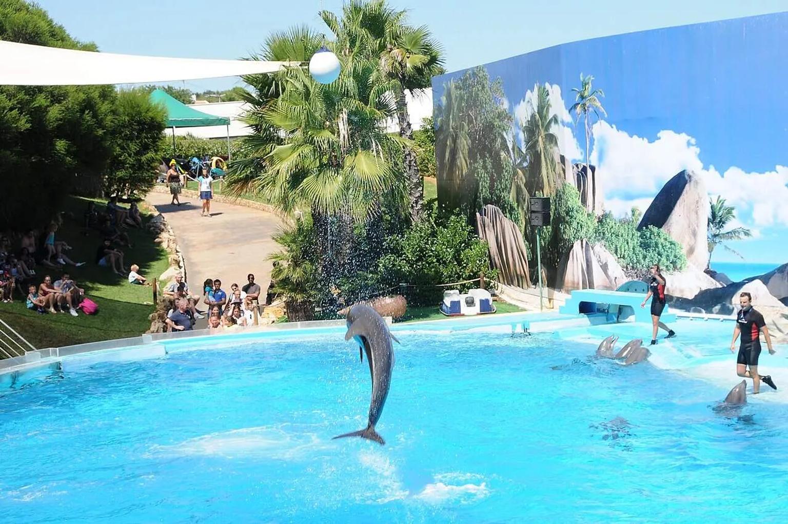 zoomarine parque tematico em portugal