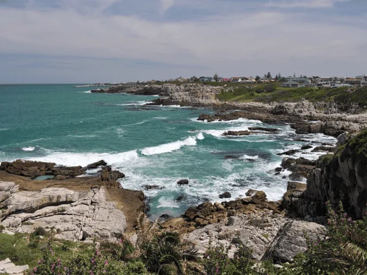 vista da baá de hermanus na africa do sul