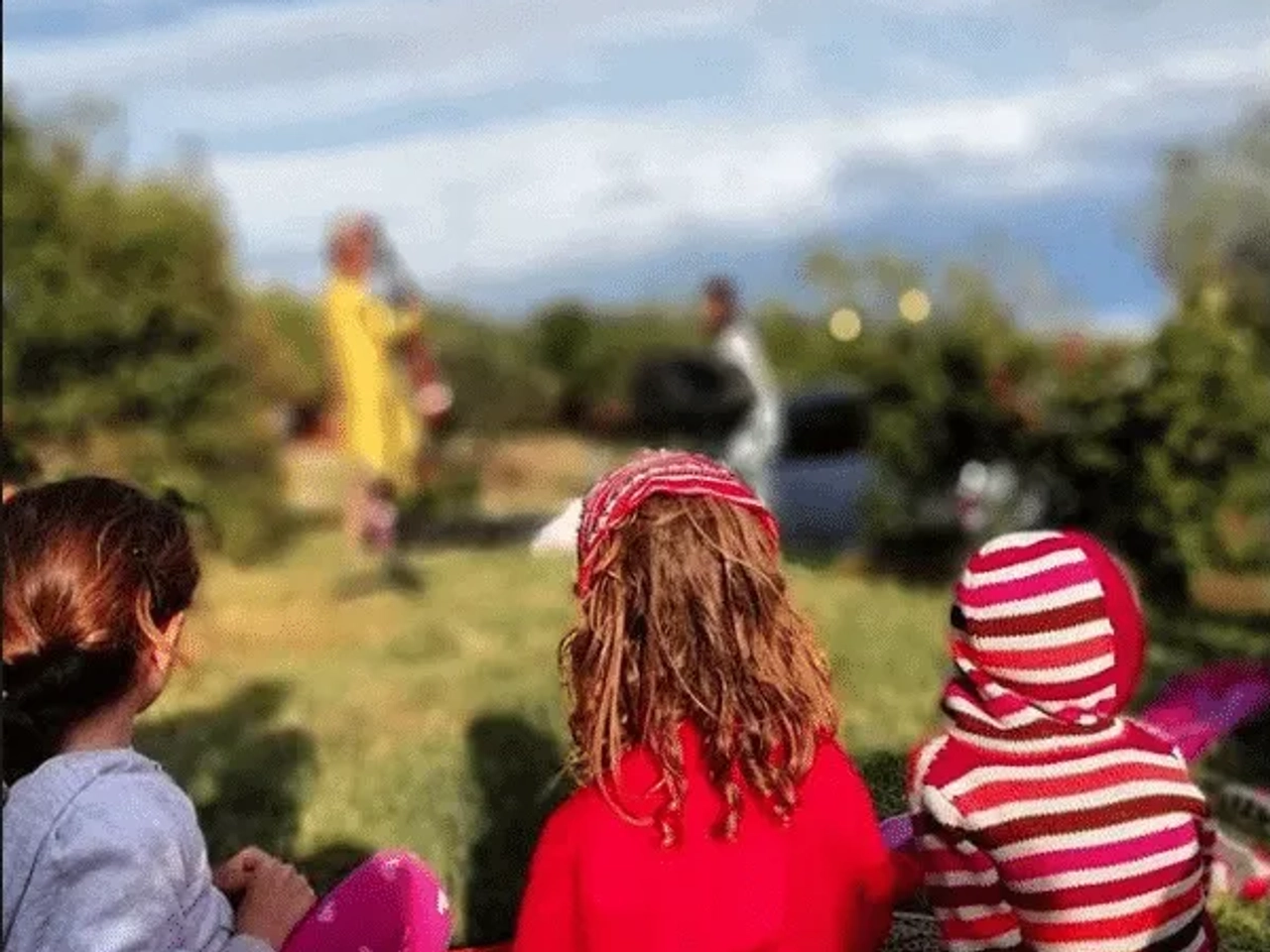 Niños observando una actuación al aire libre en un evento familiar.