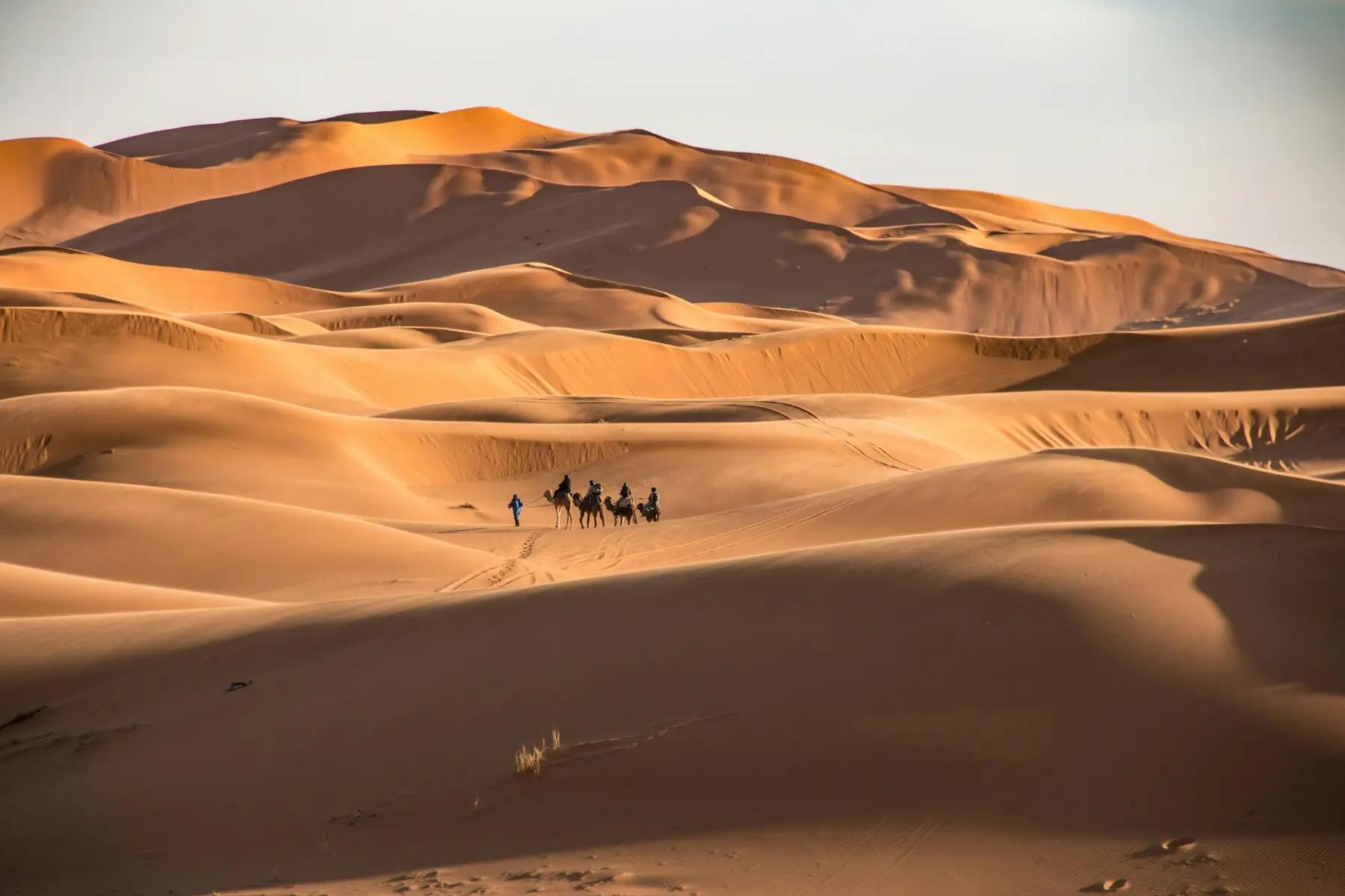 Caravana de dromedários nas dunas de Erg Chebbi, em Marrocos