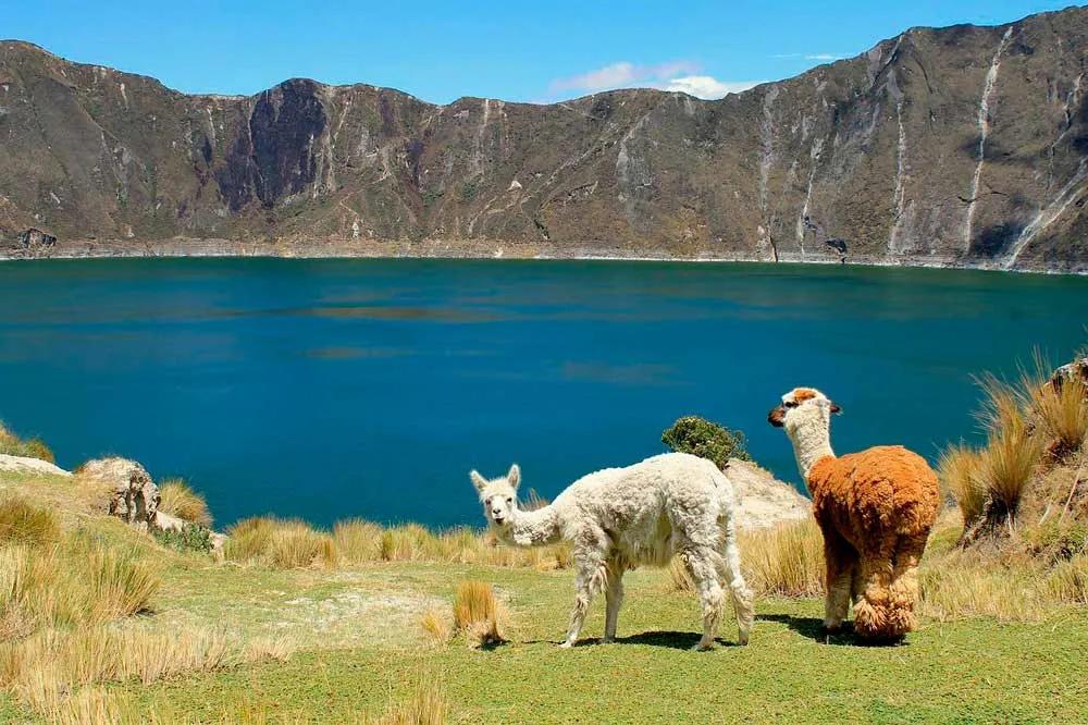 viajar a Ecuador ¿qué se necesita?